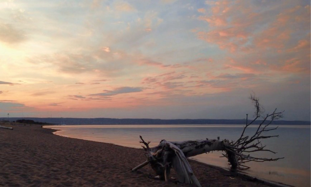 Blog Header (42)